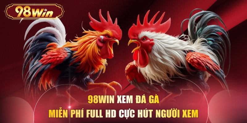 98WIN xem đá gà miễn phí full HD cực hút người xem