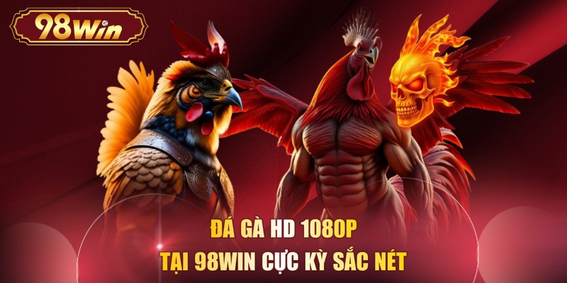 Đá gà HD 1080p tại 98WIN cực kỳ sắc nét