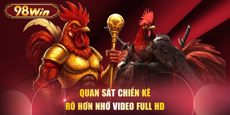 Quan sát chiến kê rõ hơn nhờ video Full HD