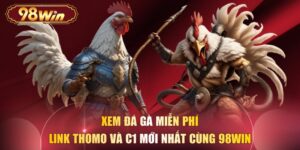 Xem Đá Gà Miễn Phí - Link Thomo Và C1 Mới Nhất Cùng 98WIN